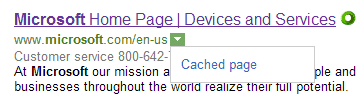 Cached link on Bing Cached link on Bing